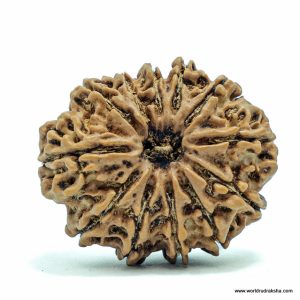 Rudraksha Meditation Mat