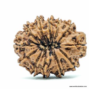Rudraksha Mobile Charm