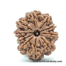 Rudraksha Smudge Stick