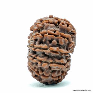 Rudraksha-Embedded Diary